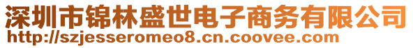 深圳市錦林盛世電子商務(wù)有限公司