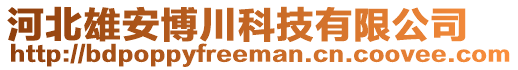 河北雄安博川科技有限公司