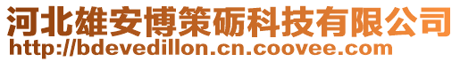 河北雄安博策砺科技有限公司