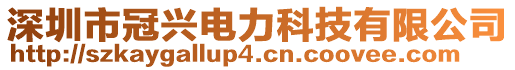 深圳市冠興電力科技有限公司