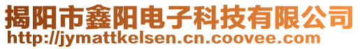 揭陽市鑫陽電子科技有限公司