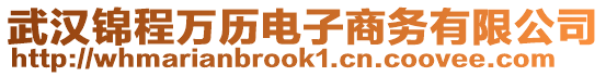 武漢錦程萬歷電子商務有限公司