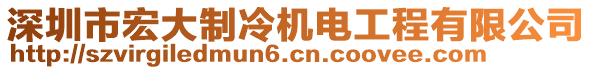 深圳市宏大制冷機(jī)電工程有限公司