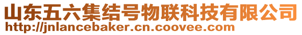 山東五六集結(jié)號(hào)物聯(lián)科技有限公司