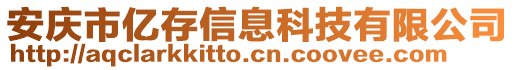 安慶市億存信息科技有限公司