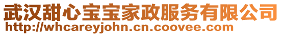 武汉甜心宝宝家政服务有限公司