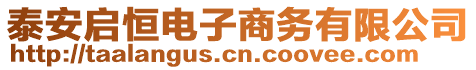 泰安啟恒電子商務(wù)有限公司