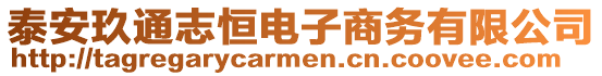 泰安玖通志恒電子商務有限公司