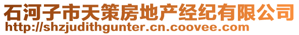 石河子市天策房地產(chǎn)經(jīng)紀(jì)有限公司