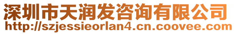 深圳市天潤發(fā)咨詢有限公司