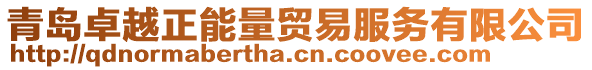 青島卓越正能量貿(mào)易服務(wù)有限公司