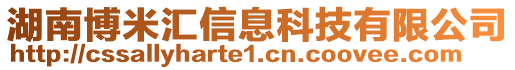 湖南博米汇信息科技有限公司