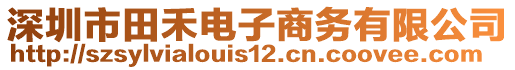 深圳市田禾电子商务有限公司