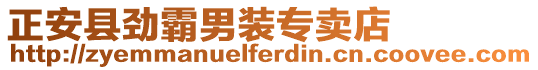 正安县劲霸男装专卖店