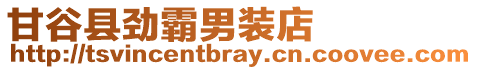 甘谷縣勁霸男裝店