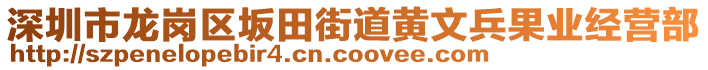 深圳市龍崗區(qū)坂田街道黃文兵果業(yè)經(jīng)營部