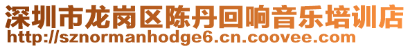 深圳市龍崗區(qū)陳丹回響音樂(lè)培訓(xùn)店