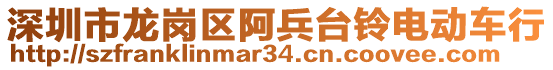 深圳市龍崗區(qū)阿兵臺(tái)鈴電動(dòng)車行