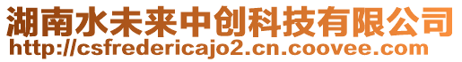 湖南水未來(lái)中創(chuàng)科技有限公司