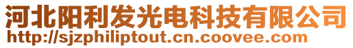 河北陽(yáng)利發(fā)光電科技有限公司