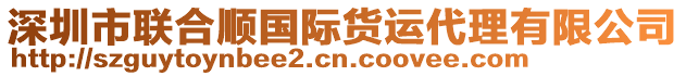 深圳市聯(lián)合順國(guó)際貨運(yùn)代理有限公司