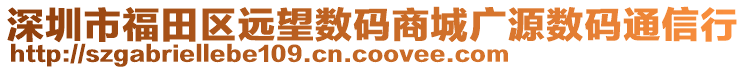 深圳市福田區(qū)遠(yuǎn)望數(shù)碼商城廣源數(shù)碼通信行