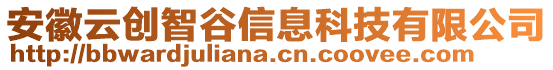 安徽云創(chuàng)智谷信息科技有限公司