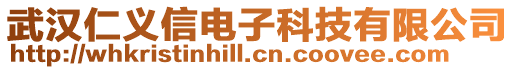 武漢仁義信電子科技有限公司