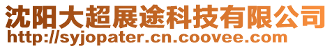 沈陽大超展途科技有限公司