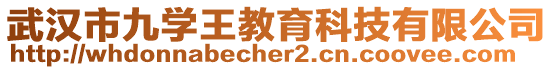 武漢市九學(xué)王教育科技有限公司