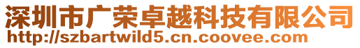 深圳市廣榮卓越科技有限公司