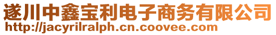 遂川中鑫宝利电子商务有限公司