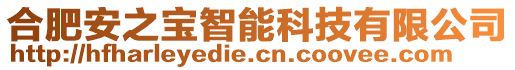 合肥安之寶智能科技有限公司