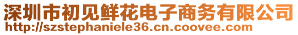 深圳市初見鮮花電子商務有限公司