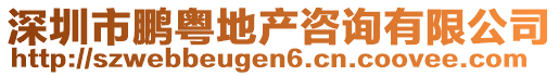 深圳市鵬粵地產(chǎn)咨詢有限公司