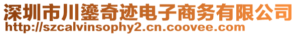 深圳市川鎏奇跡電子商務有限公司