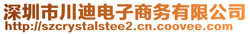 深圳市川迪電子商務(wù)有限公司