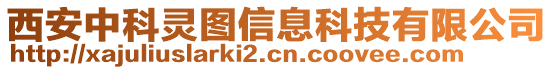 西安中科靈圖信息科技有限公司