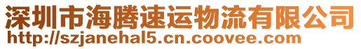 深圳市海騰速運物流有限公司