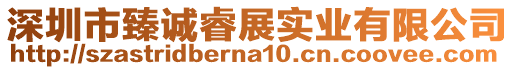 深圳市臻誠睿展實業(yè)有限公司