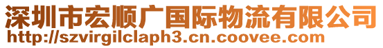 深圳市宏順廣國(guó)際物流有限公司