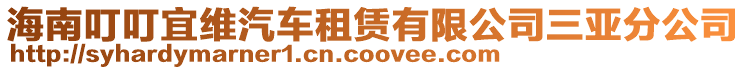 海南叮叮宜維汽車租賃有限公司三亞分公司