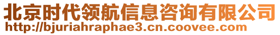 北京時(shí)代領(lǐng)航信息咨詢有限公司