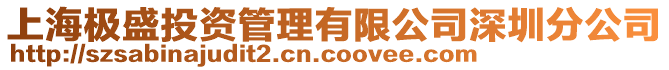 上海極盛投資管理有限公司深圳分公司