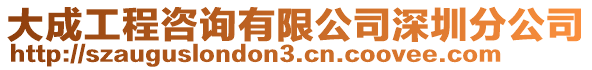 大成工程咨詢有限公司深圳分公司