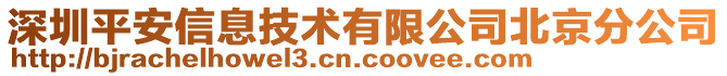 深圳平安信息技術(shù)有限公司北京分公司