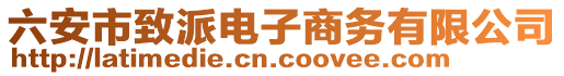 六安市致派電子商務(wù)有限公司