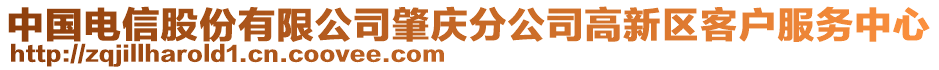 中國電信股份有限公司肇慶分公司高新區(qū)客戶服務(wù)中心