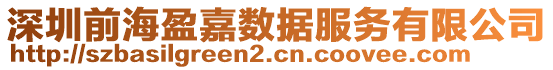 深圳前海盈嘉數(shù)據(jù)服務(wù)有限公司