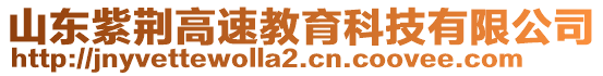 山東紫荊高速教育科技有限公司